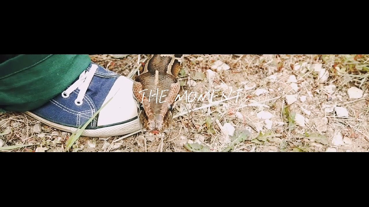 snake moves across a shoe