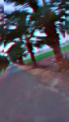 Farm_house_Mini_vlog_Beautiful_view_punjab_pakistan_sigma_ Rafay chaudhary vlogs #trending_#punjab_#pakistan_#sigma_#vlogs(360p)