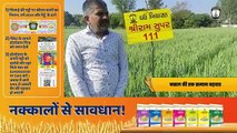 Achieving Excellence: Gujarat's Super Farmers with Shriram Super 111 Wheat Seeds