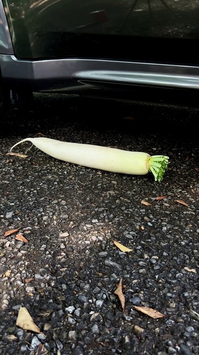 Crushed by Cars - Food Part3