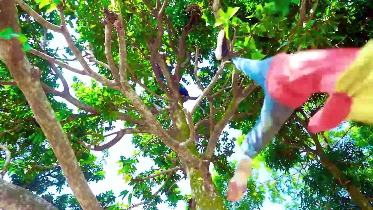 Shaktiman And Monkey Special Trending Funny Comedy Video 2024--Amazing Comedy Video 2024 Episode 272(720P_HD)
