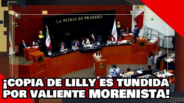 ¡VEAN! ¡copia de Lilly Téllez es masacrada por valiente diputada de morena por defender a ‘Ra-piña’!