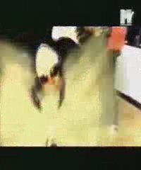 Wu-Syndicate & ill Knob Trigga - Bust A Slug