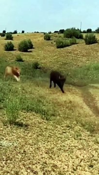 0711-01_1720682195484