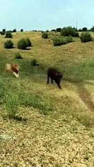 0711-01_1720682195484