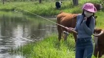 Hilarious moment cow pushes woman into lake