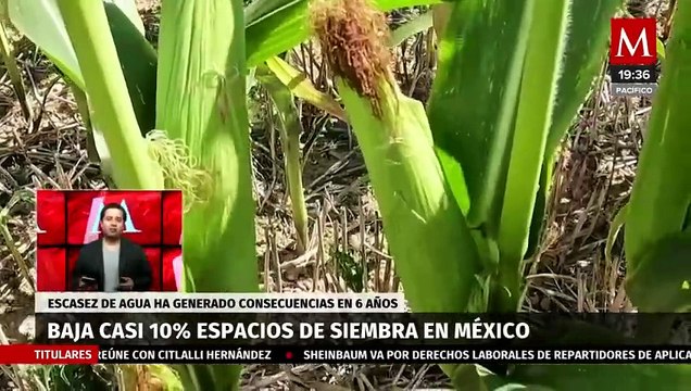 La escasez de espacio de siembra ha causado un incremento en los precios de algunos productos