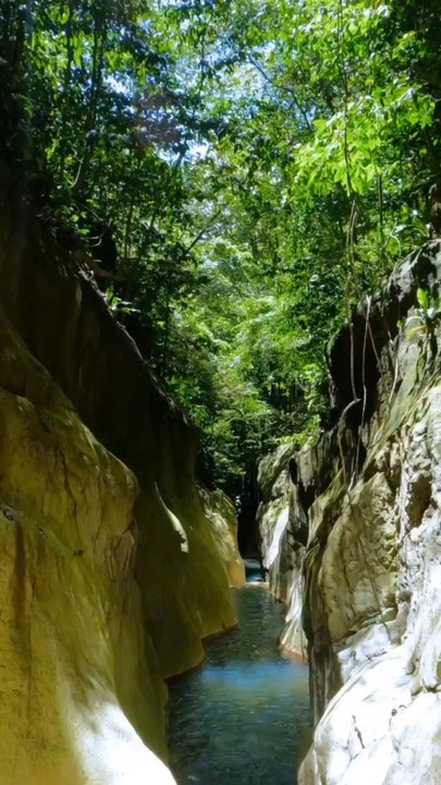 LES PLUS BELLES cascades de Guadeloupe