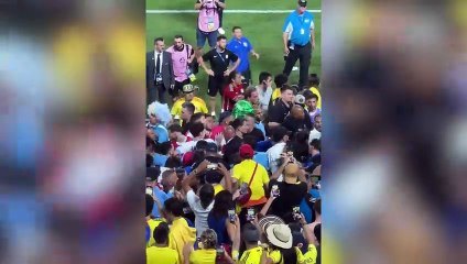Olaylı yarı final: Darwin Nunez tribüne çıkıp taraftarla yumruklaştı