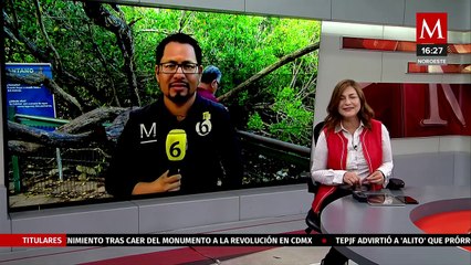 En Tamaulipas, la CPBT coloca GPS a cocodrilos para monitorear su hábitat