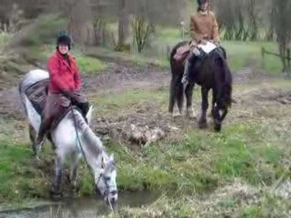 cheval tout terrain