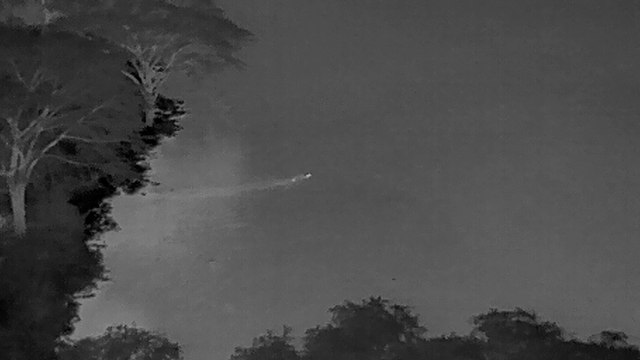 Record-breaking swim by lion brothers across croc-infested river