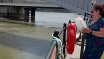 Peaceful farewell: Marina breeze carries grandfather's ashes across water