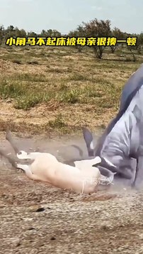 0711-02_1720690172760