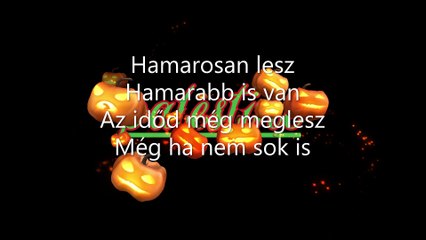 Palestine ¦ Hamar (dalszöveges audió)