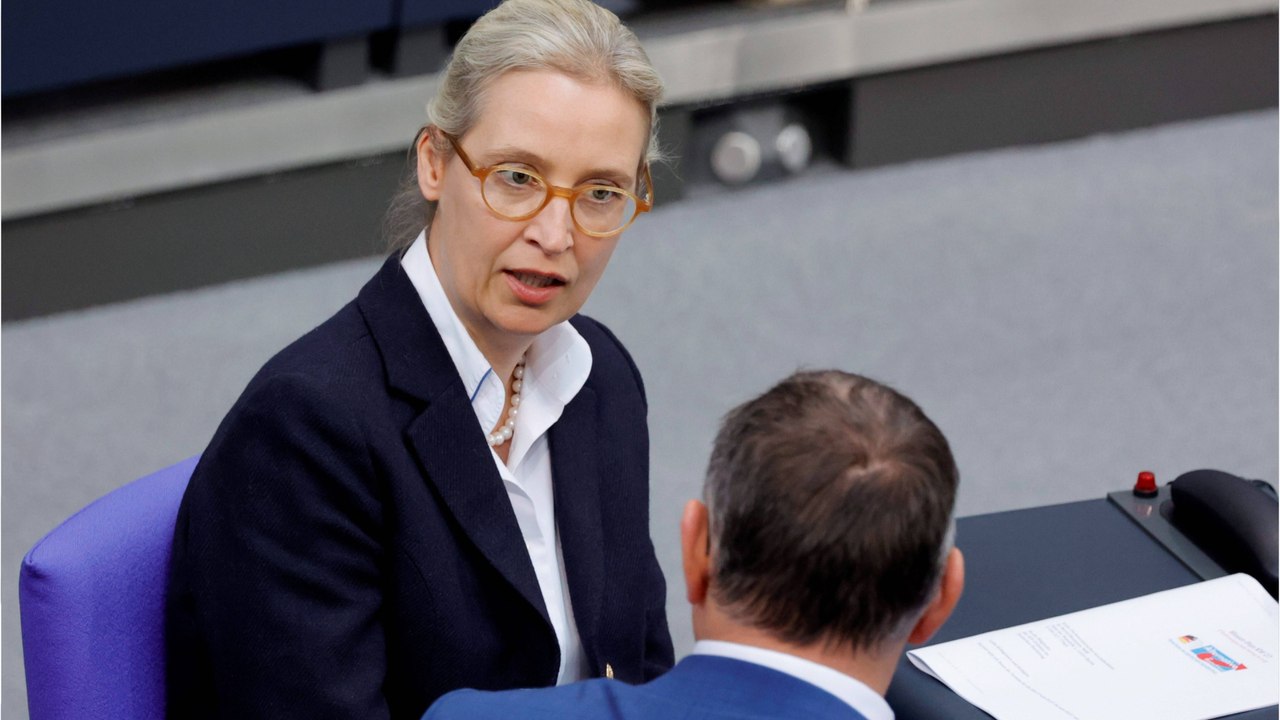 Nach Absage von Le Pen und Orbán: AfD gründet eigene EU-Fraktion
