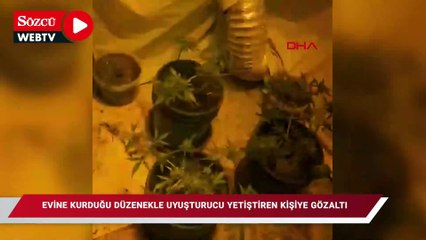 Evine kurduğu düzenekle uyuşturucu yetiştiren kişiye gözaltı