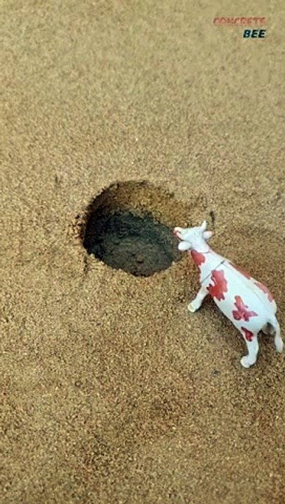 Mini Chaff Cutter Machine Project with Diesel Engine For Cow #short