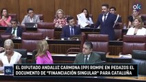 El diputado andaluz Carmona (PP) rompe en pedazos el documento de 