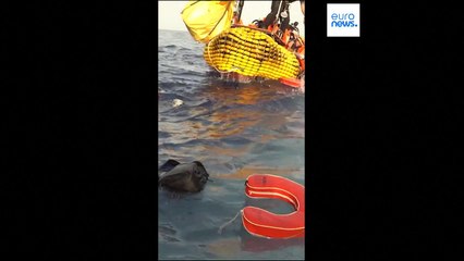 Bewaffnete unterbrechen Rettungsaktion im Mittelmeer