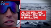 Lalaking naglalayag, binulaga at pinalibutan ng 1,000 balyena! | GMA Integrated Newsfeed