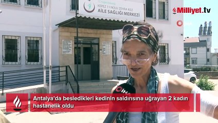 Antalya'da kedi 2 kadını hastanelik etti: İçine canavar kaçmış