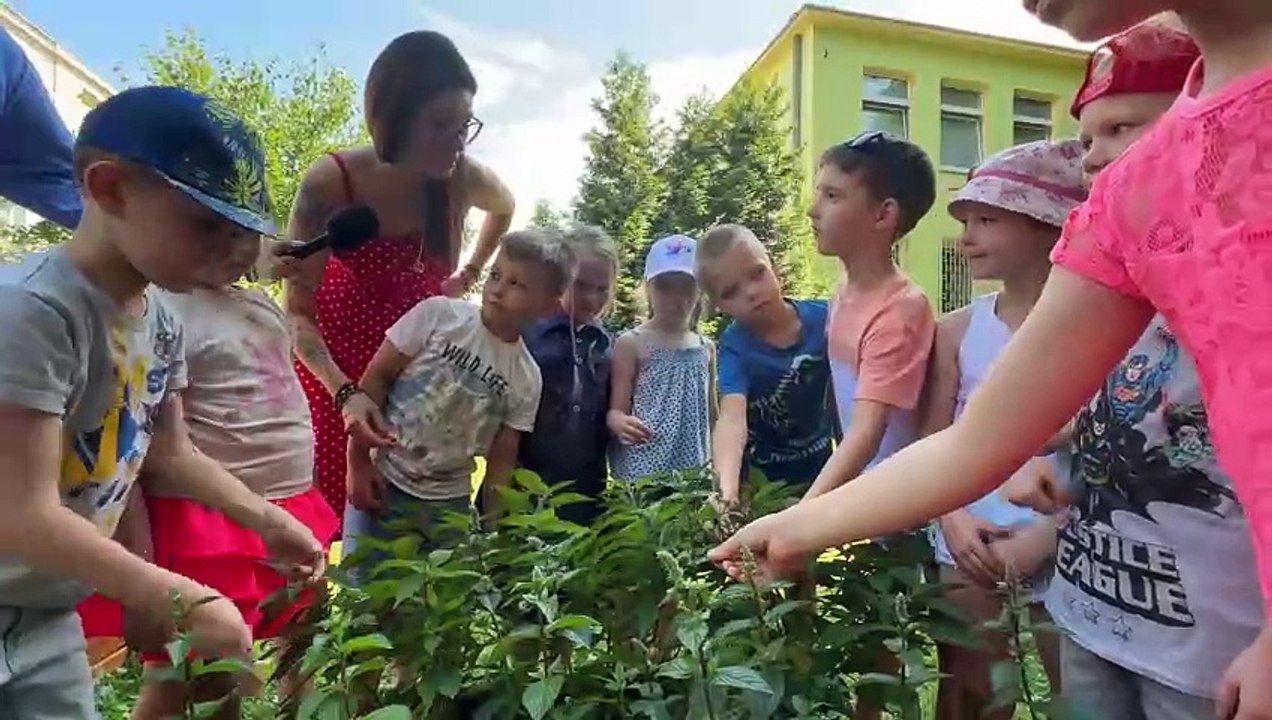 Lato w przedszkolu