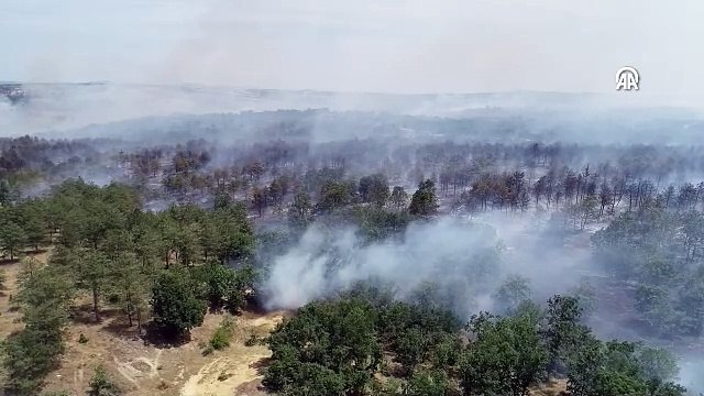 Edirne'de Bulgaristan sınırında orman yangını