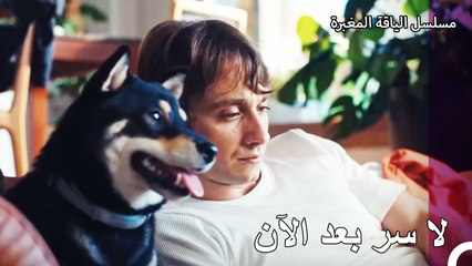 كشفت جميع الحقائق - مسلسل الياقة المغبرة 27