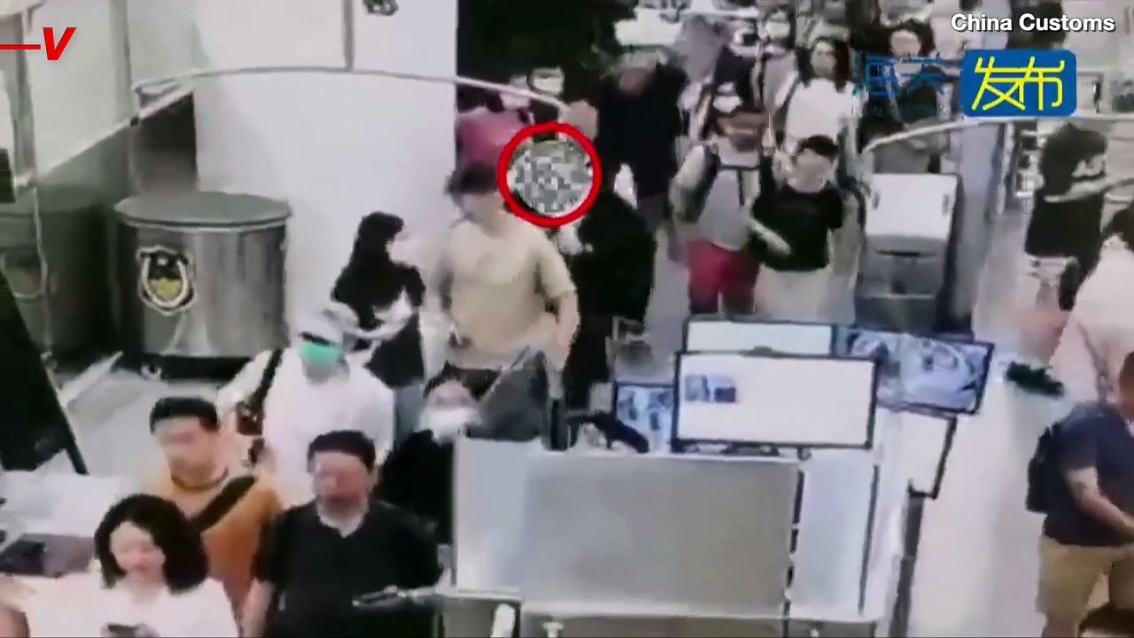 Smuggler Caught Entering China With Over 100 Snakes In Pants