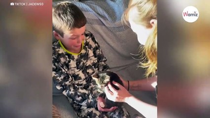 Niezapomniany Moment! Chłopiec Otrzymuje Wymarzonego Kociaka 🐱