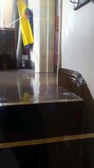 Bilston Town Hall Faces Water Leak After Roof Lead Theft 🚱