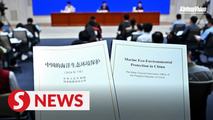 China issues white paper on marine eco-environmental protection