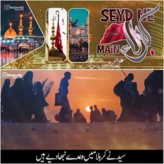 سید ؓ نے کربلا میں وعدے نبھا دیے ہیں دینِ محمدیﷺ کے گلشن کھلا دیے ہیں❤️