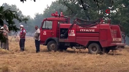 Edirne’de orman yangını