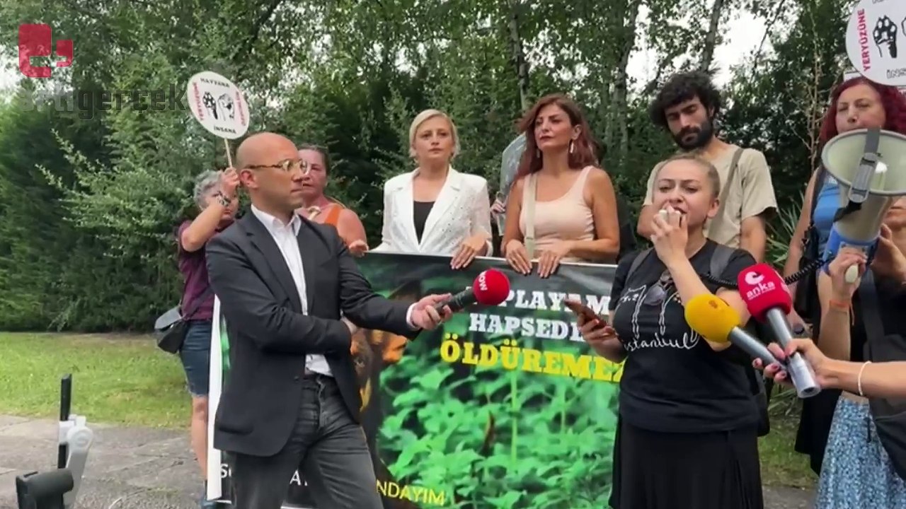 Hayvan hakları savunucuları Meclis önüne yürüdü: ‘Memleket koca bir hayvan mezarlığına dönüştü’