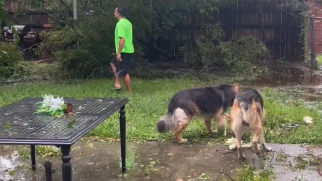 A glimpse of the destruction left in the wake of Hurricane Beryl