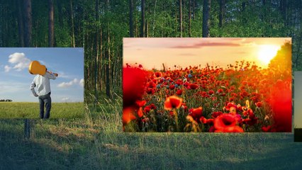 Seasoned With Grace, Take Me Home, Country Roads #coversong #countryfolk #livemusic #rurallife