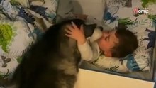 Ten filmik o psie husky i dziecku rozczuli każdego! Ojciec małego chłopca uchwycił niesamowicie czuły moment.