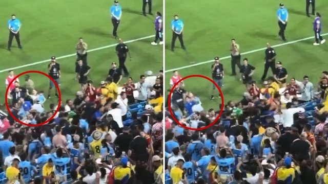 El botellazo a Mina Bonino y su hijo en plena tangana que pudo acabar fatal