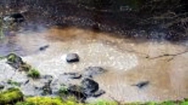 Who is César Lattes Why a Google Doodle celebrates Brazilian physicist today.