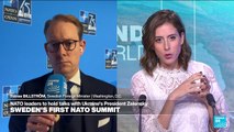 'Sweden joined NATO because of Russia's illegal invasion of Ukraine', Swedish Foreign Minister says