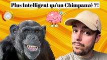 Suis je Plus Intelligent qu'un Chimpanzé ? Test du Chimpanzé sur Human Benchmark