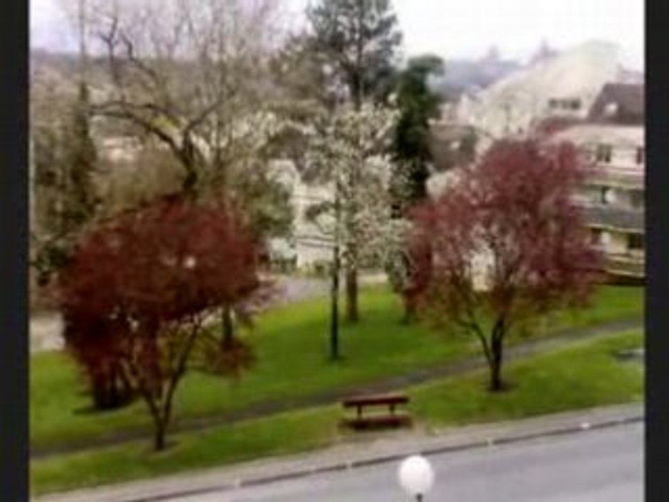 Video freestyle 2008