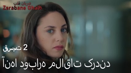 آنها دوباره ملاقات کردند - (Zarabane Ghalb) ضربان قلب قسمت