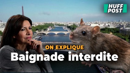 Anne Hidalgo devrait-elle faire attention à la « maladie du rat » avant de se baigner dans la Seine?