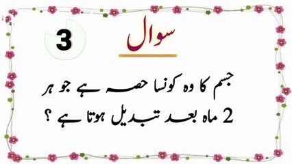 IIslamic Questions and Answers | General knowledge Questions and Answers | Urdu Quiz | Quiz Festival