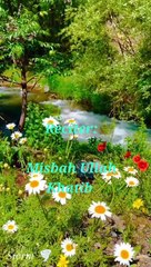 صلوا على النبي beautiful video