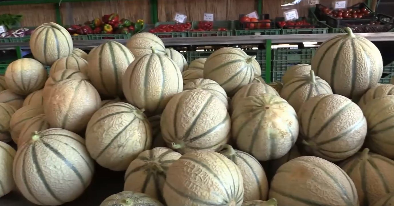 Conto alla rovescia a Due Casette per la Sagra del Melone