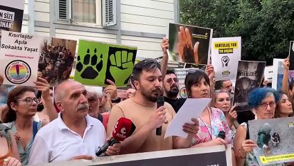 Hayvan hakları savunucularından milletvekillerine çağrı: Tecrit ve katliama hayır deyin